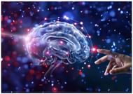 Alzheimer's and sleep do not have a direct link, as per the study (Image via Vecteezy)